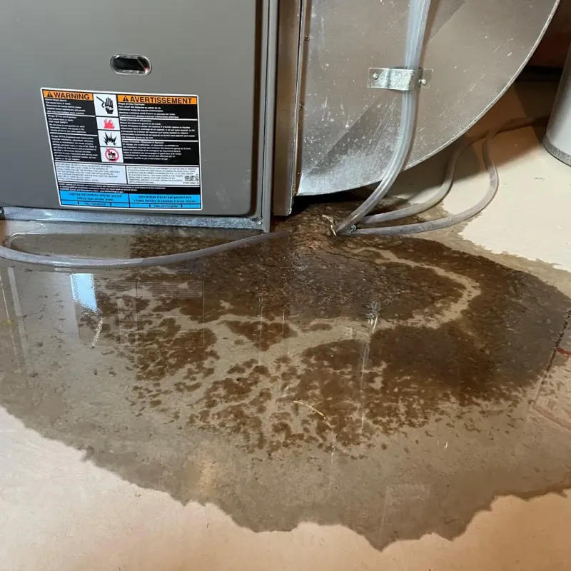 Appliance Leak Cleanup in Bangor, MI